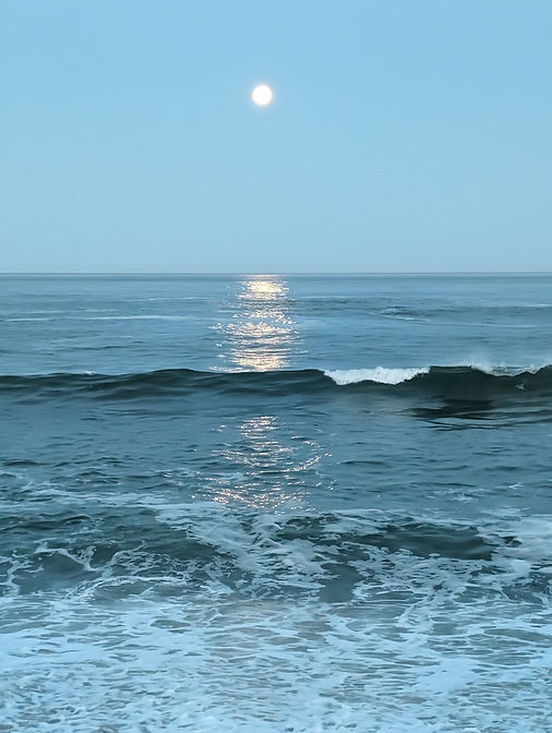 PXL_20240224_143453115.NIGHT.jpg