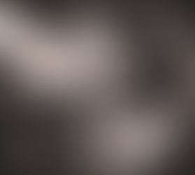 What you will find here