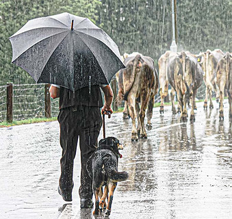 Pension Alpenheim Teufen, Ferien, Regen, Appenzell