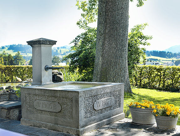 Pension Alpenheim Teufen, Garten, Brunnen, Blumen