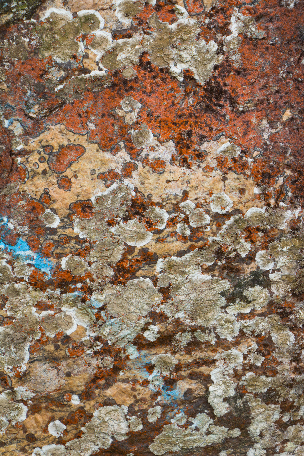 Itanhaém, 08 a 10 de fevereiro de 2013 (33).jpg