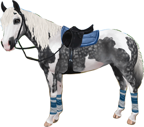 Untitled52_20220109165019.png