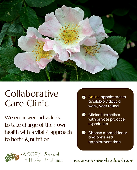 Collaborative Clinic 2025_image.png