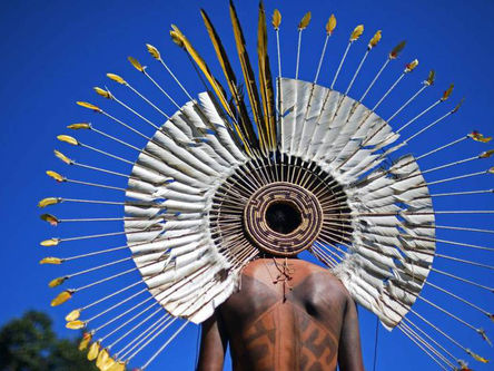 A pandemia e a luta indígena em um planeta que tem febre
