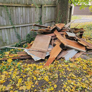 yard cleanup junk removal before.jpg