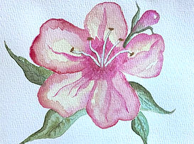 WatercolorPinkFlower_web_only_edited.jpg