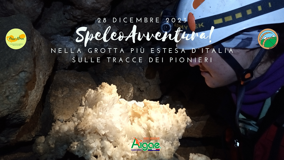 SpeleoAvventura