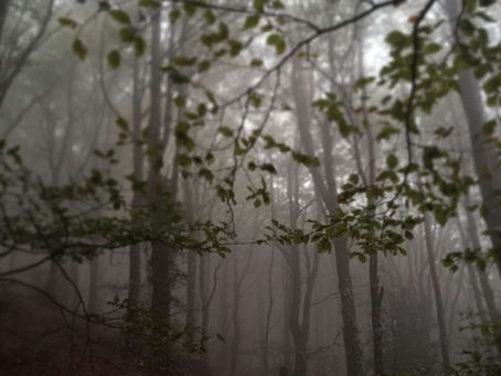 Quando il "bel tempo" è davvero bello?