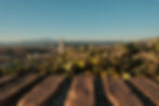 DSCF5541.JPG