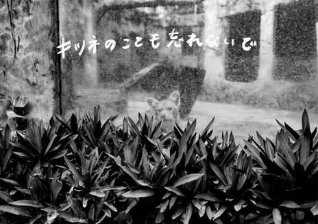 Portfolio Review＿HitomiHasegawa-5.jpg