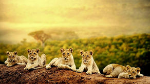 #Sol en #Leo