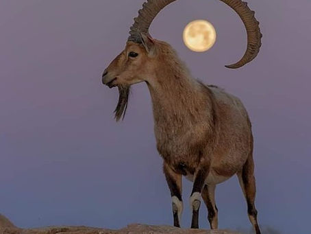 #LunaLlena / #MercurioRetrogrado / #Eclipse