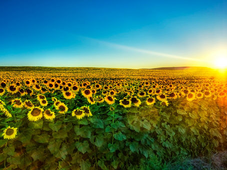 3/6/22 He conseguido la carta astral de Ucrania..