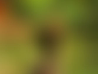 9-14-20 Luna nueva en Virgo