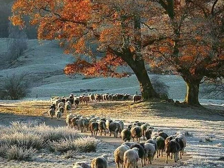 11/6/22 #Luna en cuarto cresciente