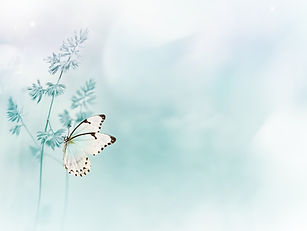 Gentle natural spring background in pastel blue colors. Wild meadow grass and light white