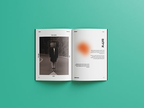 צילום מוקאפ.jpg