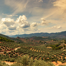 AdobeStock_340721413.jpeg