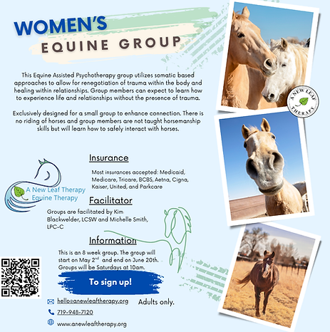 Woman’s Equine (Instagram Post).png
