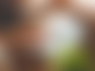 5 Must-Have Online Tools for Marketers of Human-Centered Branding