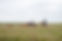 20250807-DSC_2373.jpg