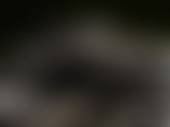 A pile of black and beige puzzle pieces on a dark surface, creating a textured, mysterious atmosphere. No text visible.