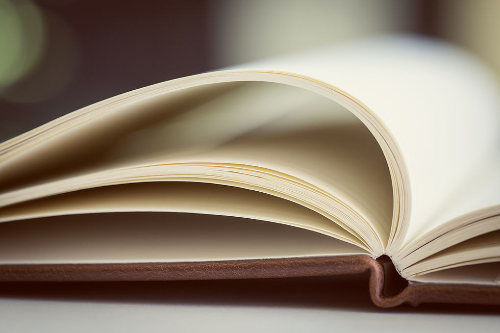 Open Book Pages