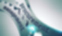 AdobeStock_75094961.jpeg