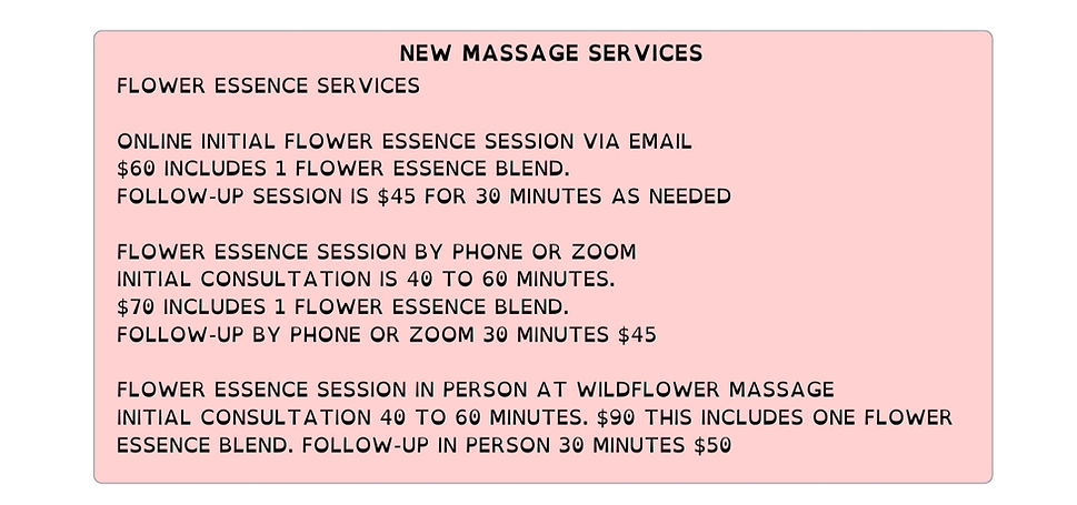 MASSAGE Menu (3)_edited.jpg