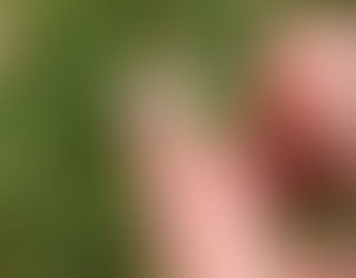 🌟 Geluk zit in de kleine dingen 🌟