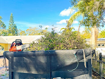 "Backyard pool landscaping by Full Service Lawn & Landscaping, with tropical plants and a serene outdoor environment."