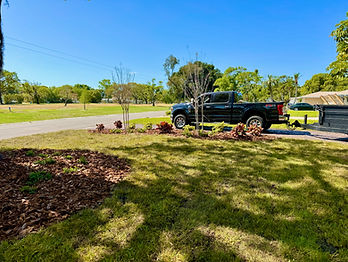Sod Installation