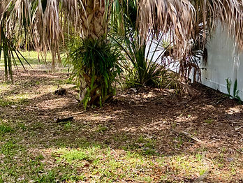 "Full Service Lawn & Landscaping placeholder image for custom landscaping designs."