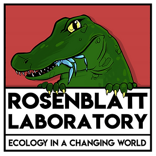 RosenblattLogo-Red.png