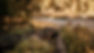 Ashes108_edited.jpg