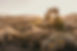 1T7A9854.jpg