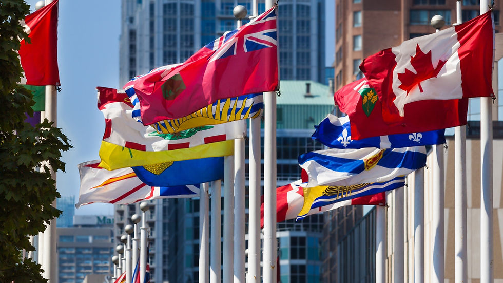 best immigration consultant in india