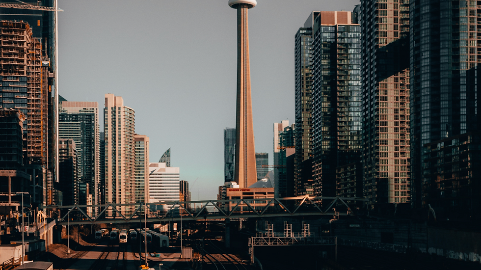 best immigration consultant in india