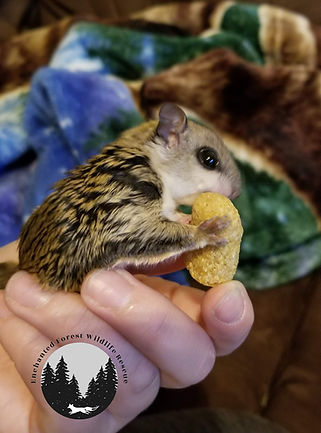 20190414_215310 (1)_edited.jpg