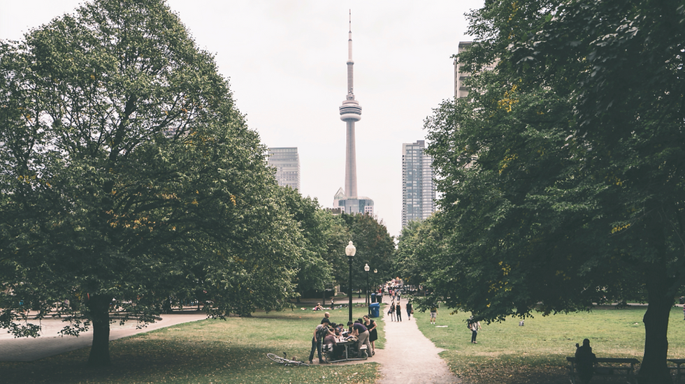 best immigration consultant in india