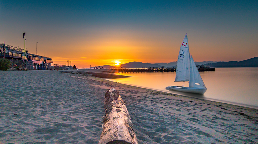 best immigration consultant in india