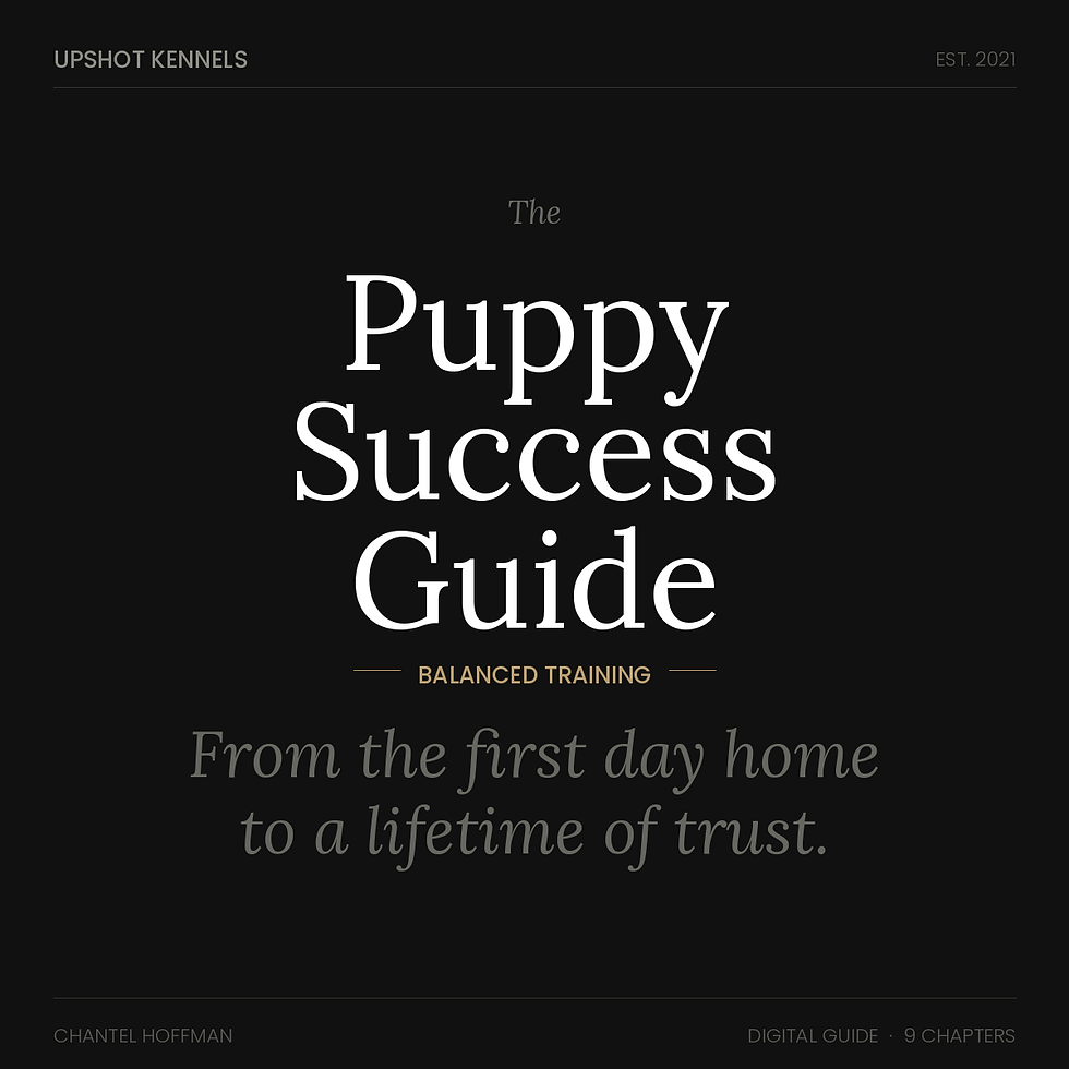 upshot_puppy_guide_square (1).png