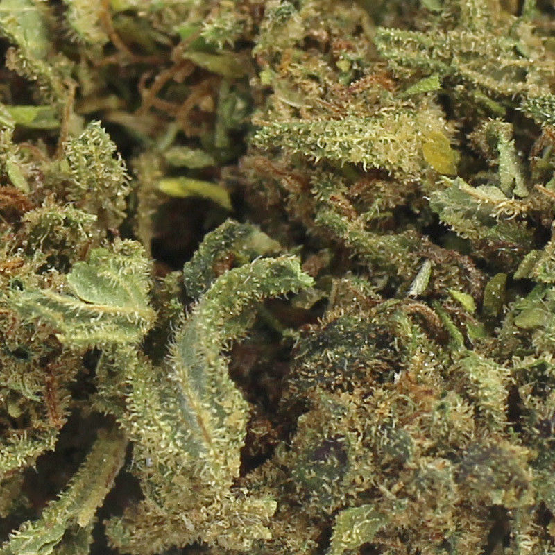 Fleur CBD Gelato