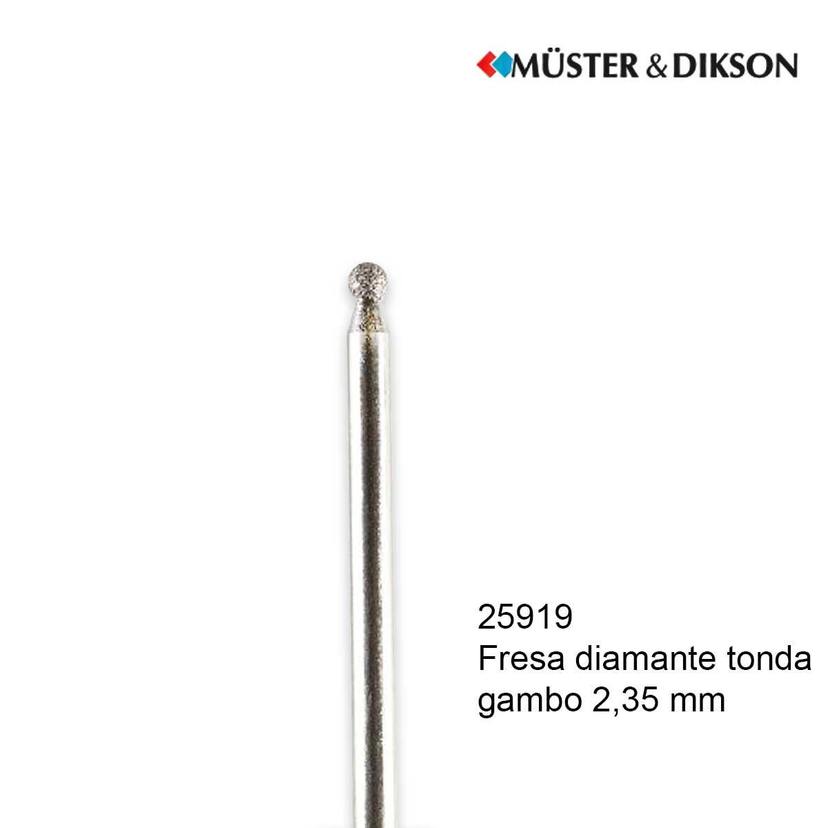 Fresa Diamante Tonda