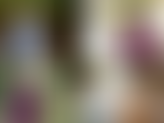 Your Ballot, In Their Words