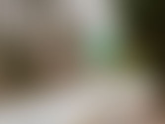 The $9.5 Million Dollar Debate over Mableton Public Safety