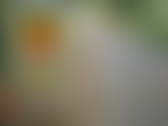 Gift Cards on the Loose