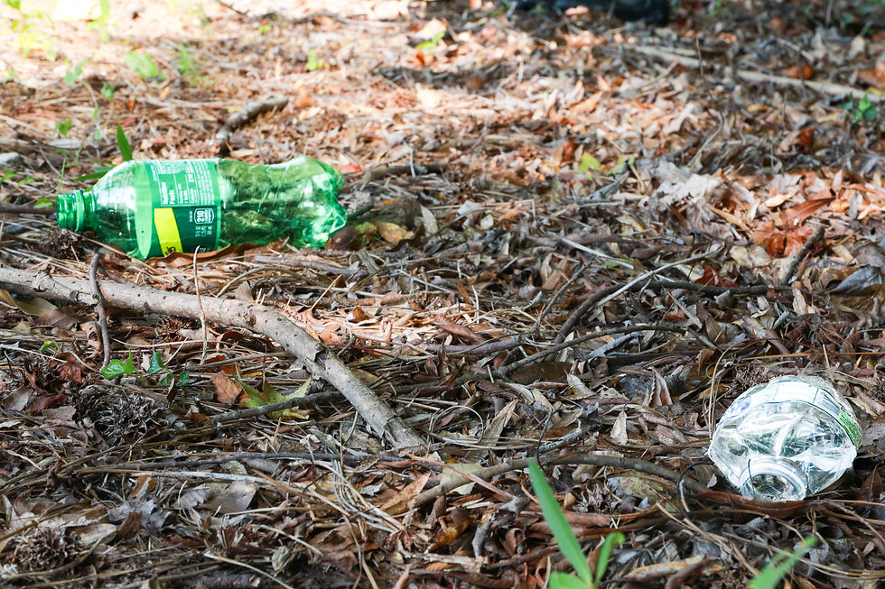 Keeping Mableton Clean: Where People Litter and How We Can Help