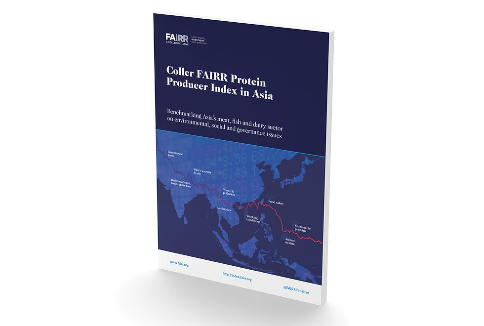 FAIRR_Cover_Magazine_LS-1030-2019-04-04.