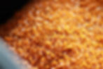 Biobased & plastic-free traceless® coating applied to paper packaging material